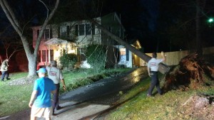 wind and tree damage to home