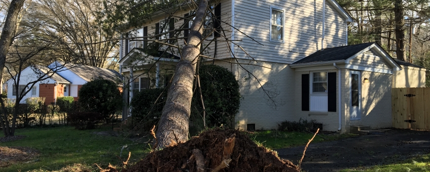 Wind and Tree Damage to Charlotte, NC homes