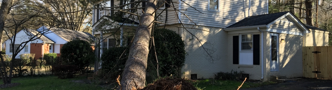 Wind and Tree Damage to Charlotte, NC homes